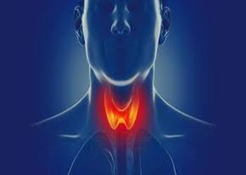 Understanding Dengue Fever: Causes, Symptoms, and Transmission