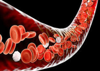 Understanding Dengue Fever: Causes, Symptoms, and Transmission